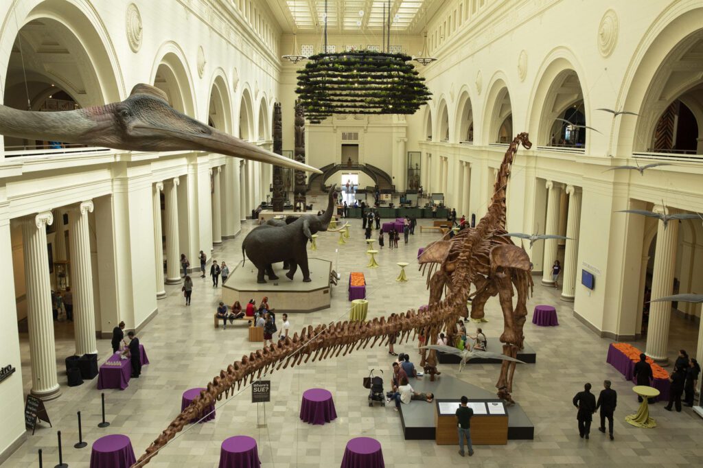 Field Museum Chicago